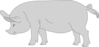 Gray Pig Clip Art